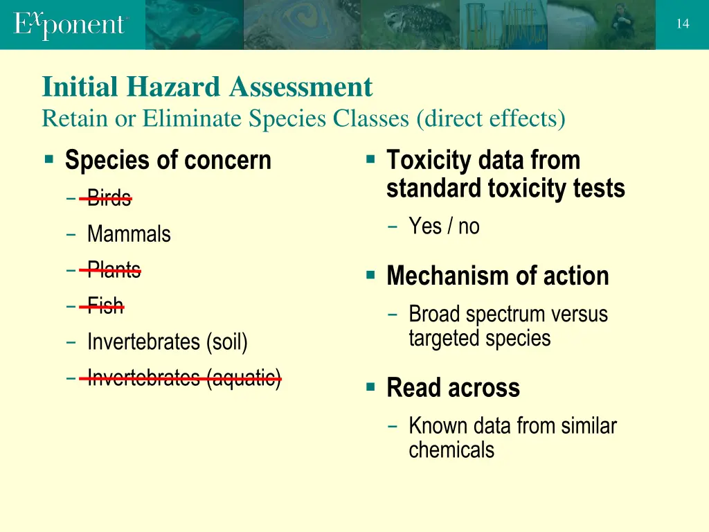 slide14