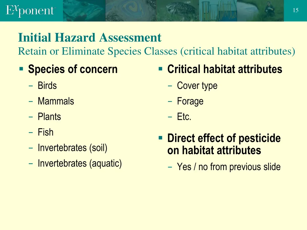slide15