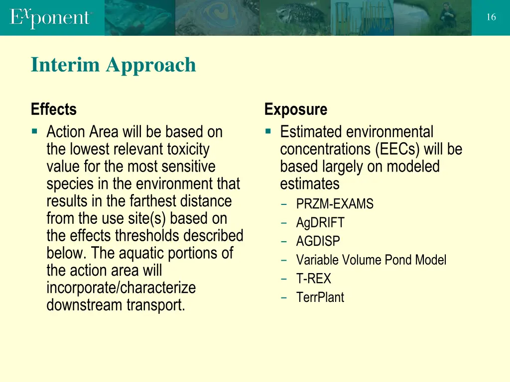 slide16