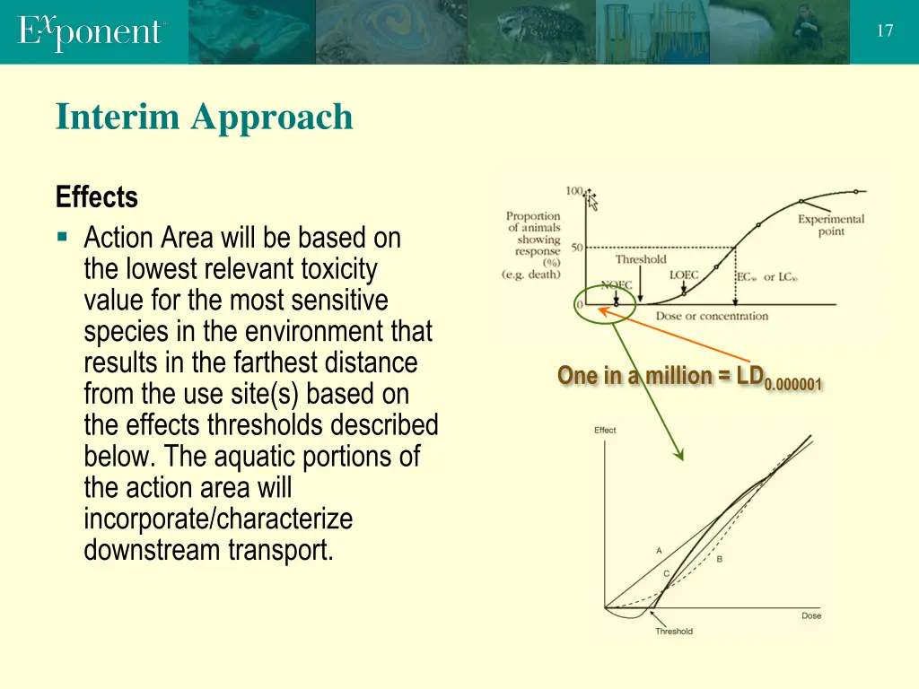 slide17