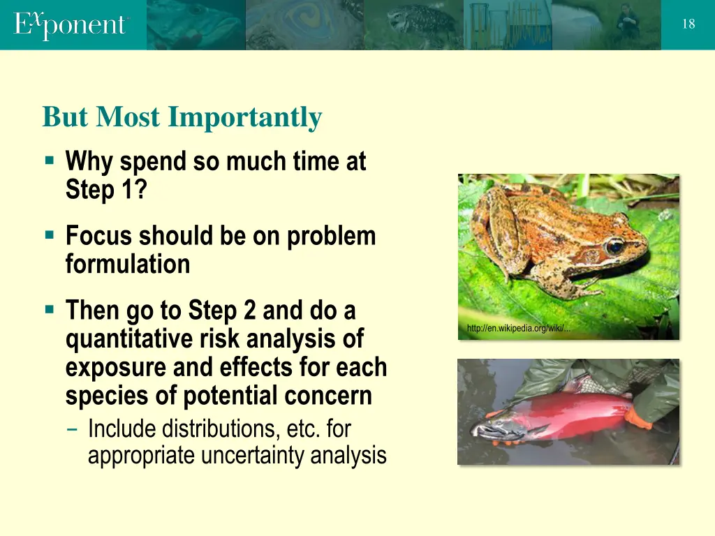 slide18