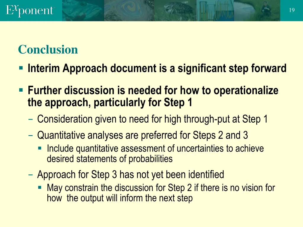 slide19