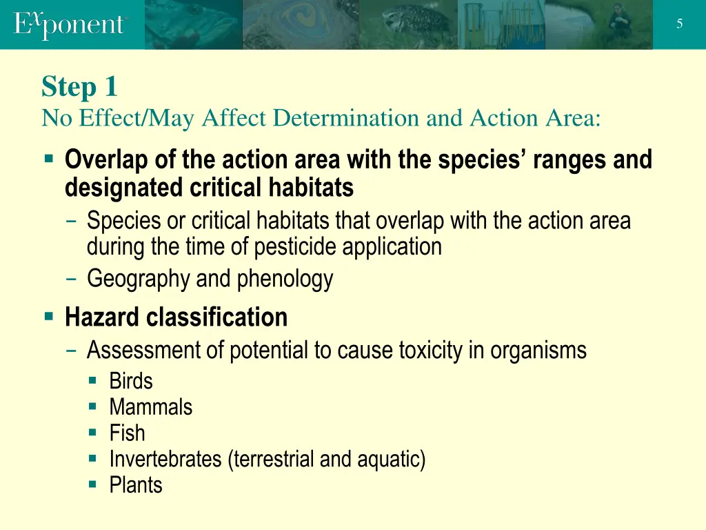 slide5