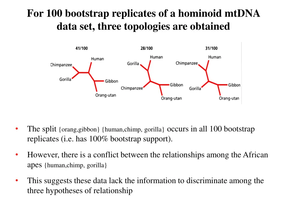 for 100 bootstrap replicates of a hominoid mtdna