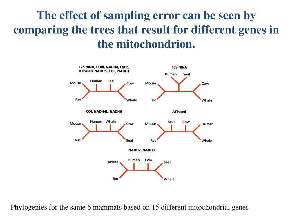 the effect of sampling error can be seen