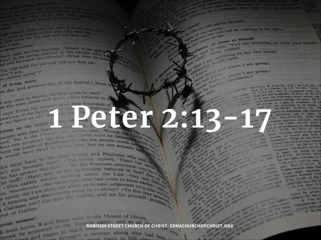 1 peter 2 13 17