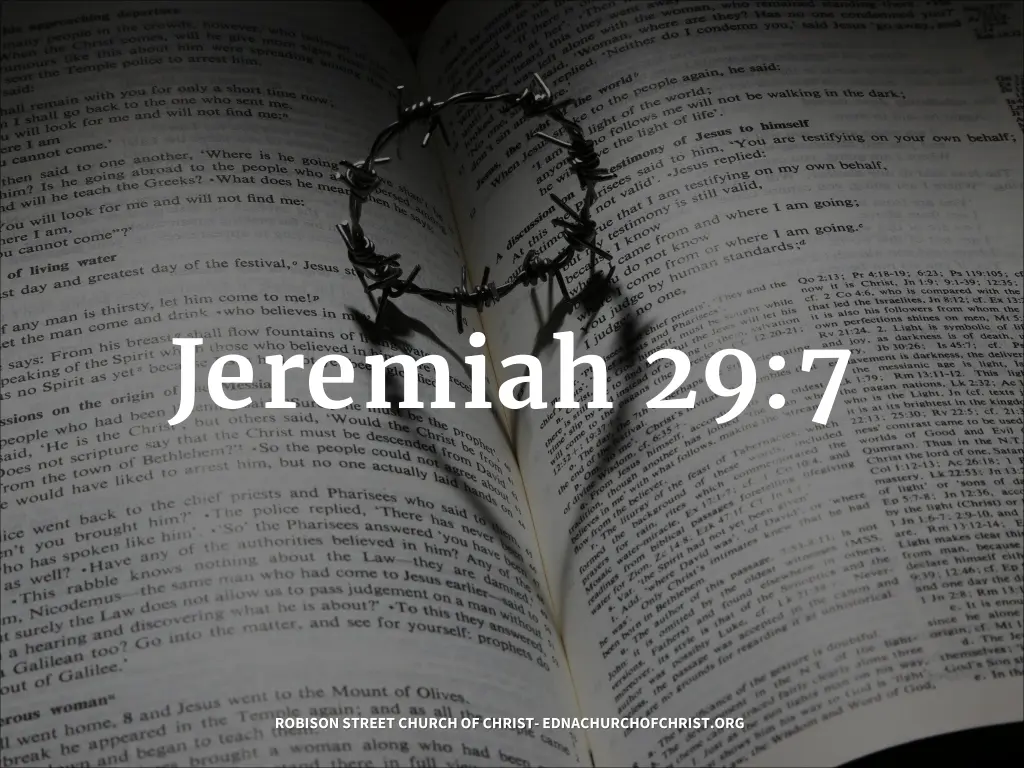 jeremiah 29 7