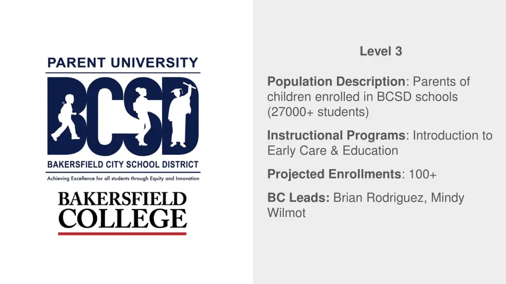 level 3