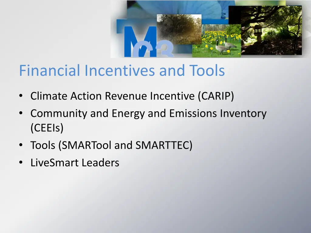 financial incentives and tools