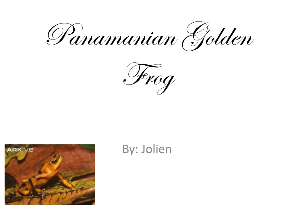 panamanian golden frog