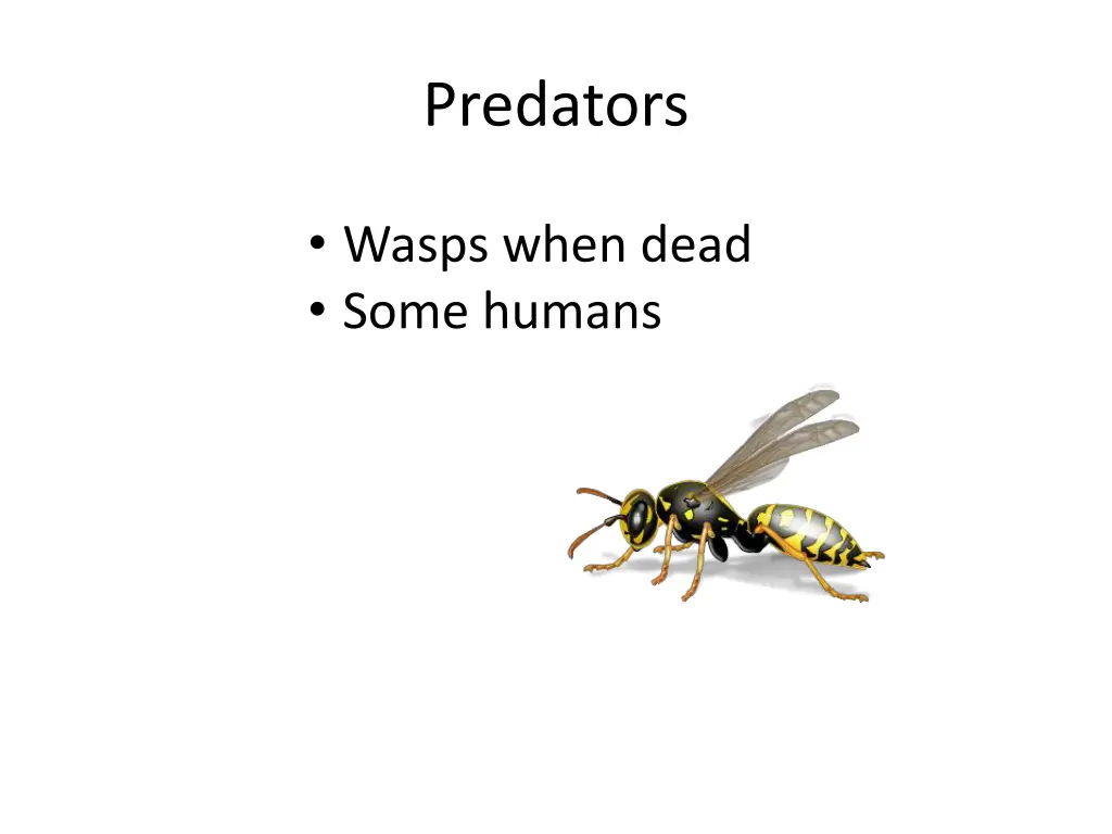 predators