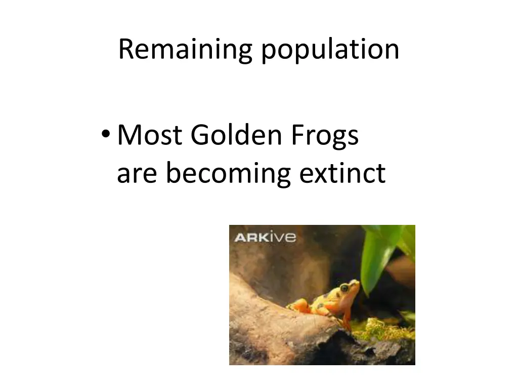 remaining population
