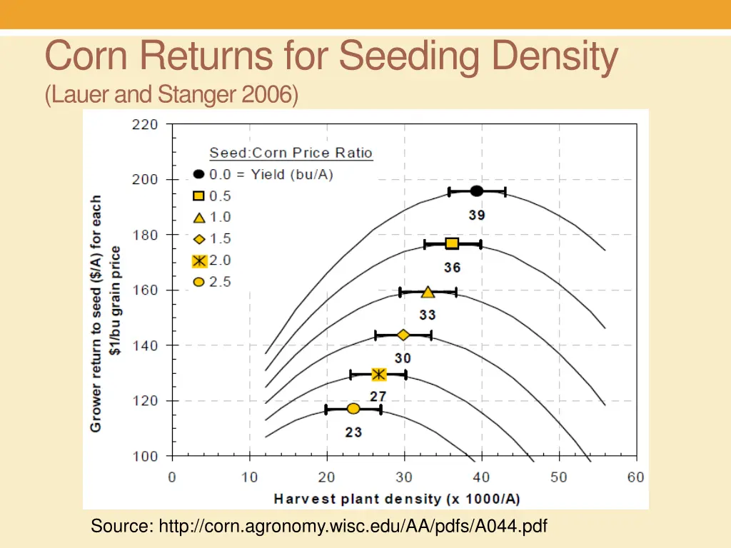 corn returns for seeding density lauer