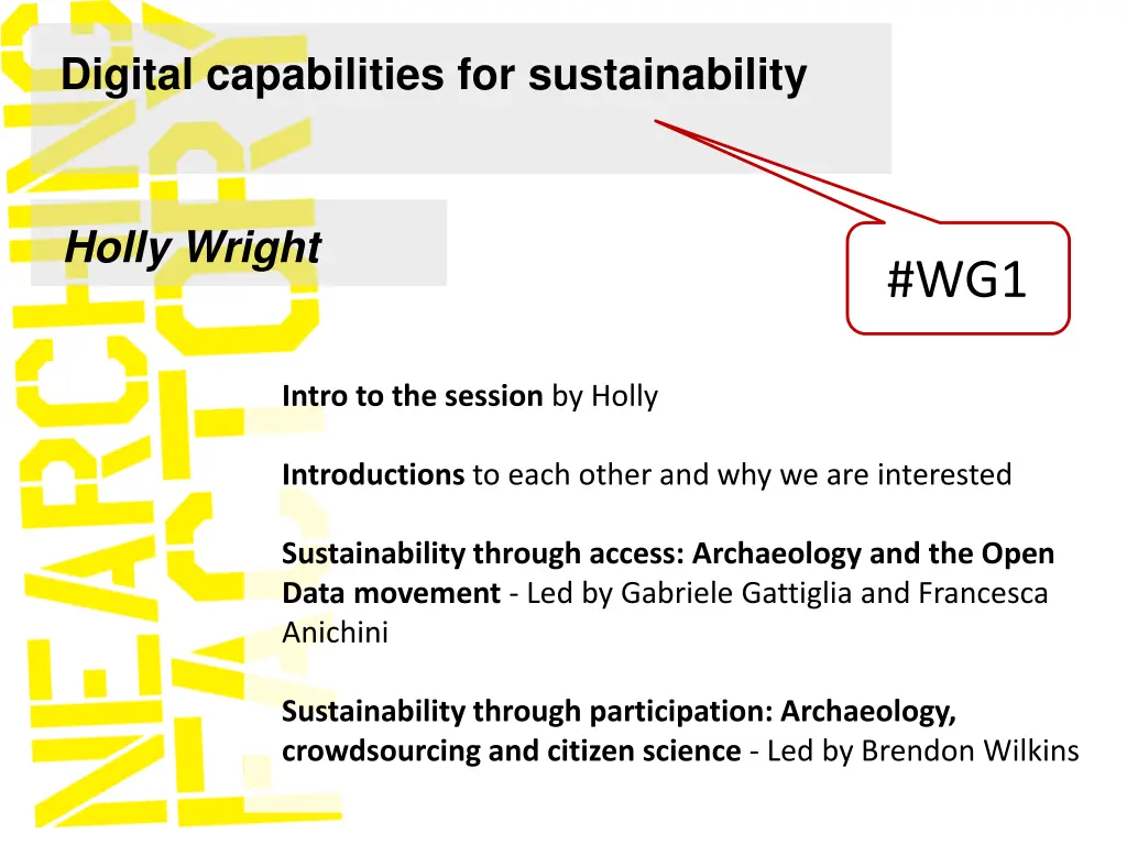 digital capabilities for sustainability 1