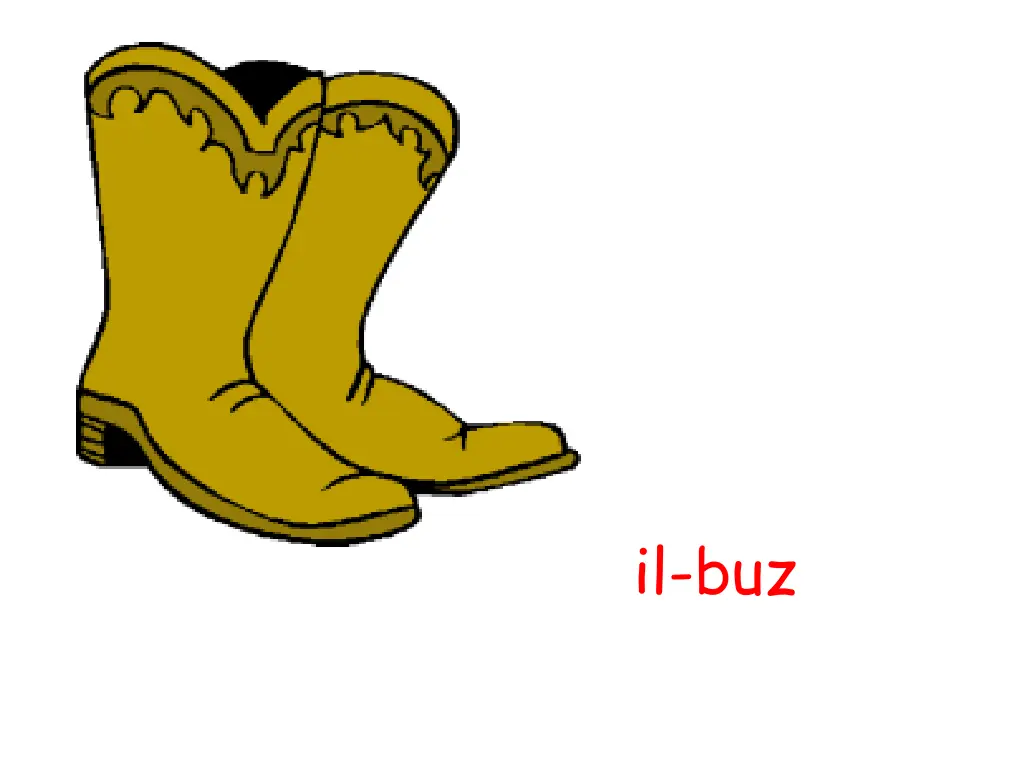 il buz