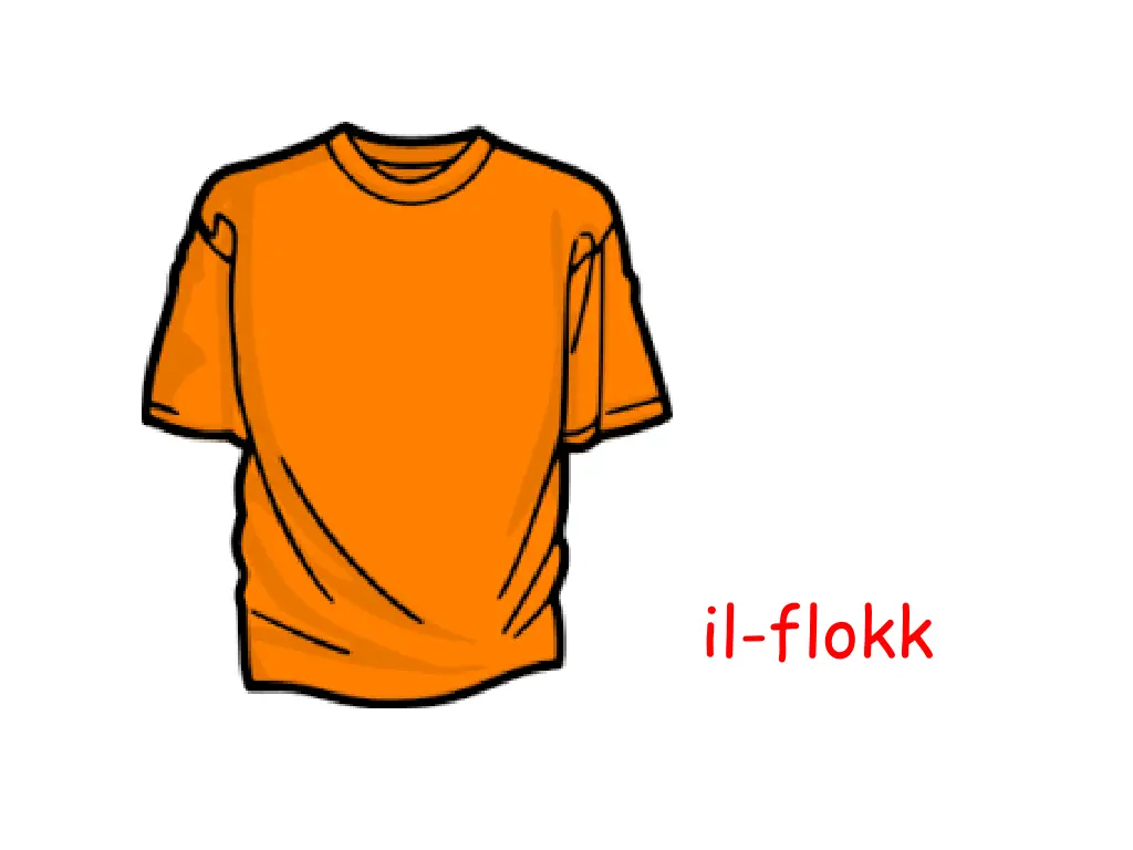 il flokk