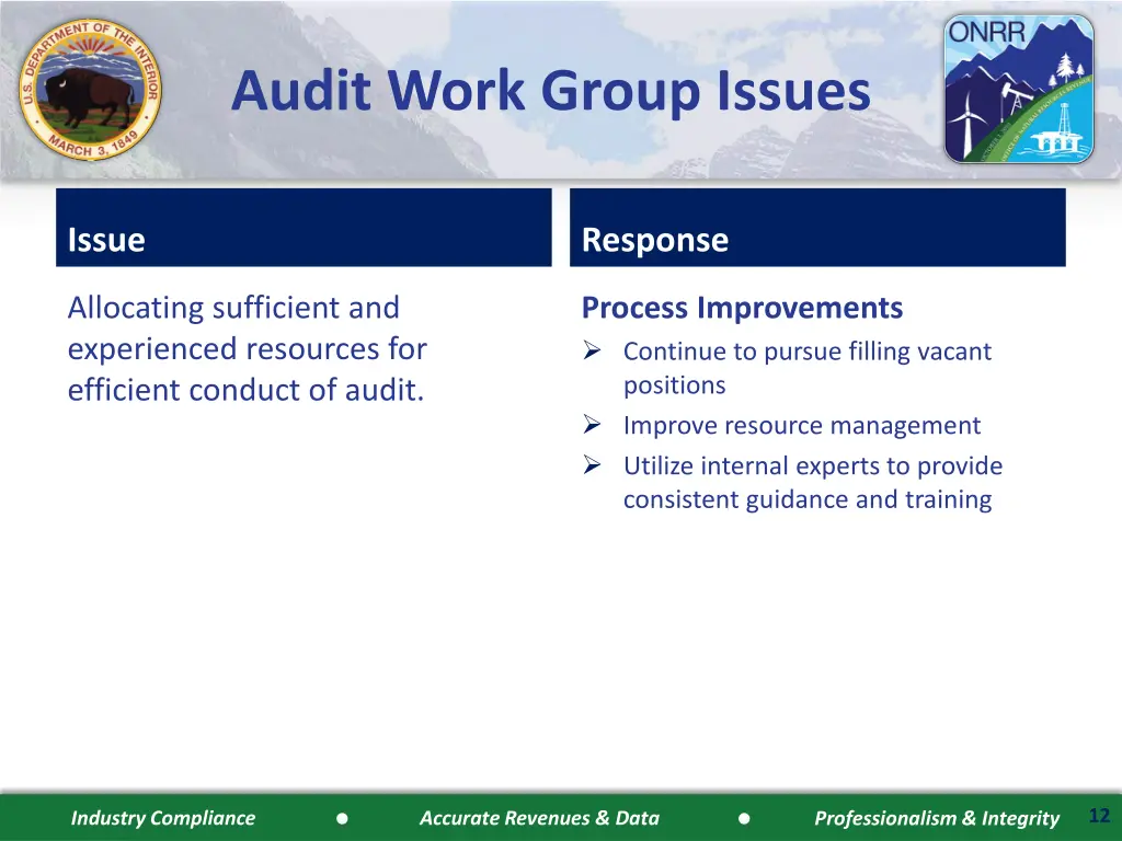 audit work group issues 1