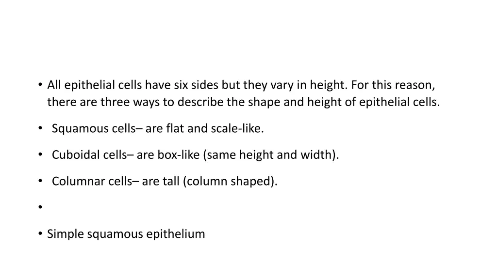 all epithelial cells have six sides but they vary