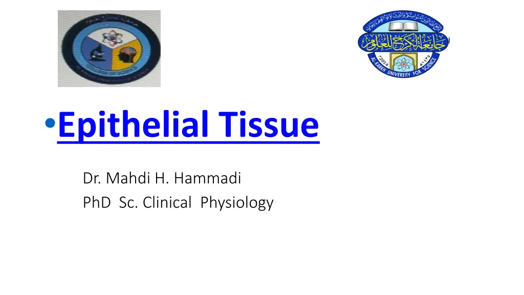 epithelial tissue