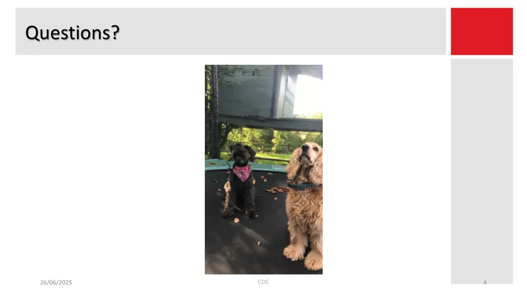 questions