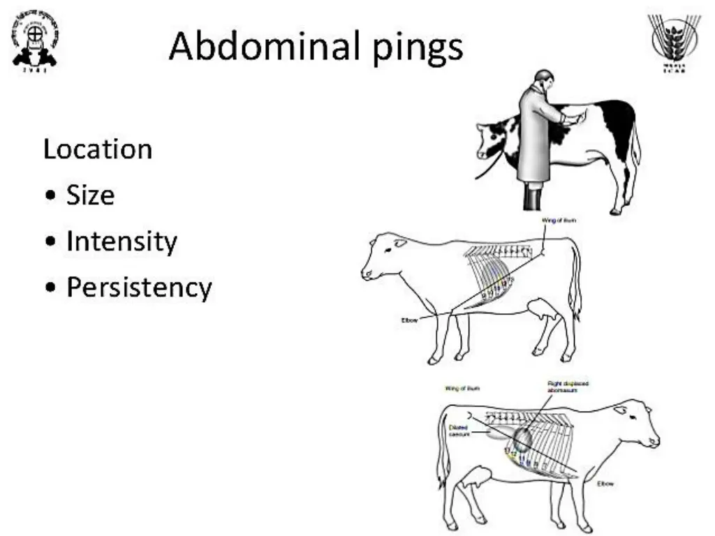 slide6