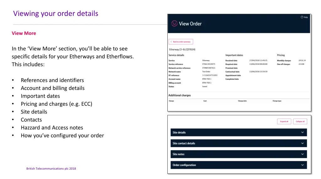 viewing your order details 2