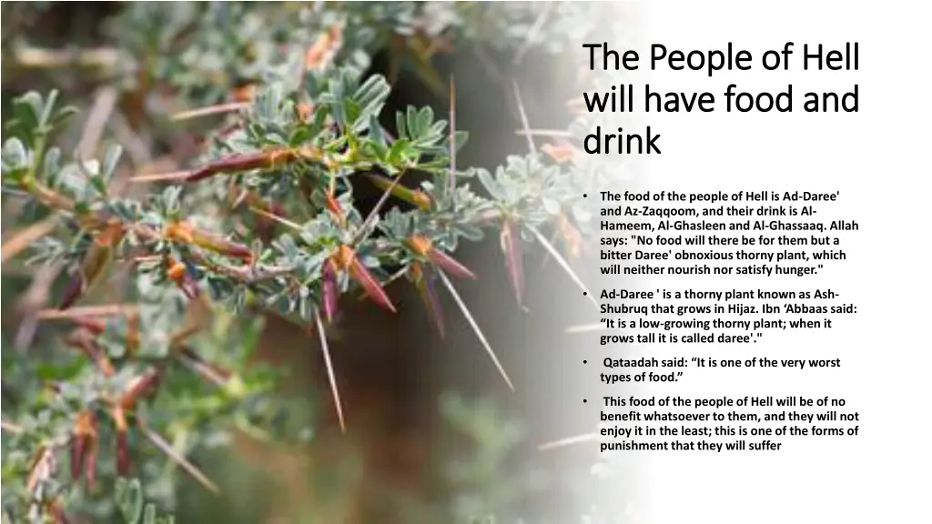 the people of hell the people of hell will have