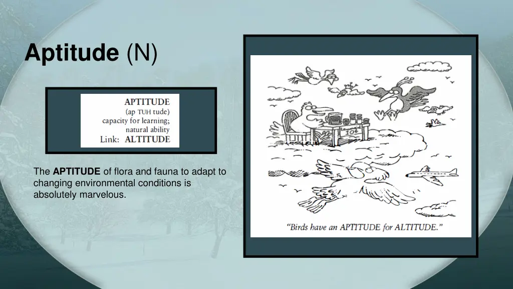 aptitude n