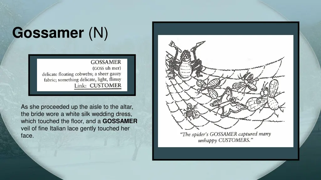 gossamer n