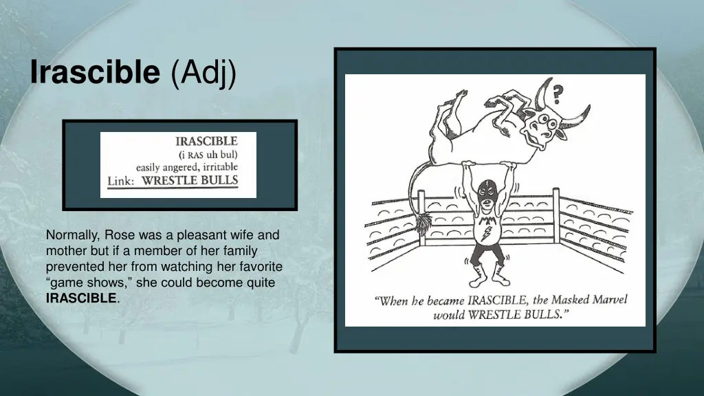 irascible adj