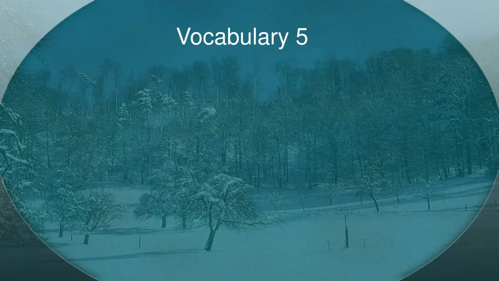 vocabulary 5