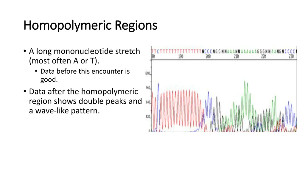 homopolymeric homopolymeric regions