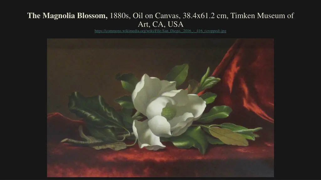 the magnolia blossom 1880s oil on canvas 38 4x61