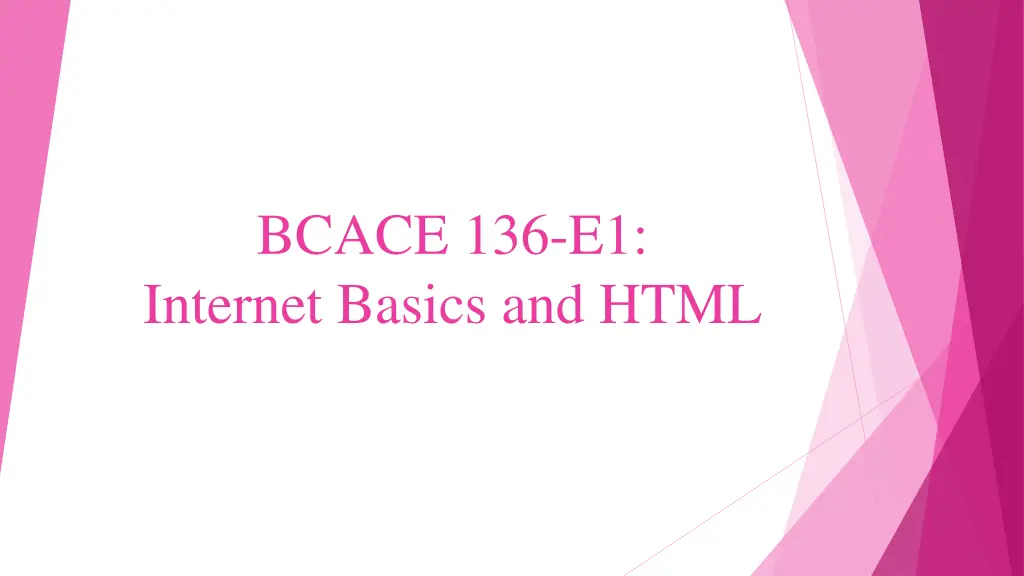 bcace 136 e1 internet basics and html