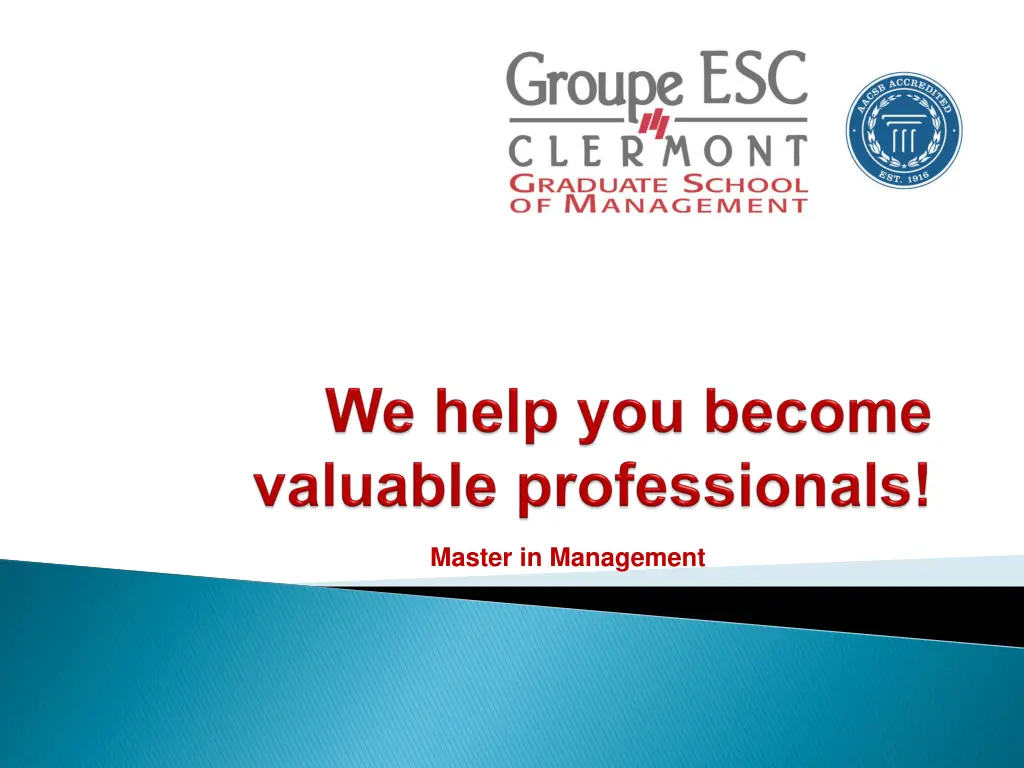 master in management