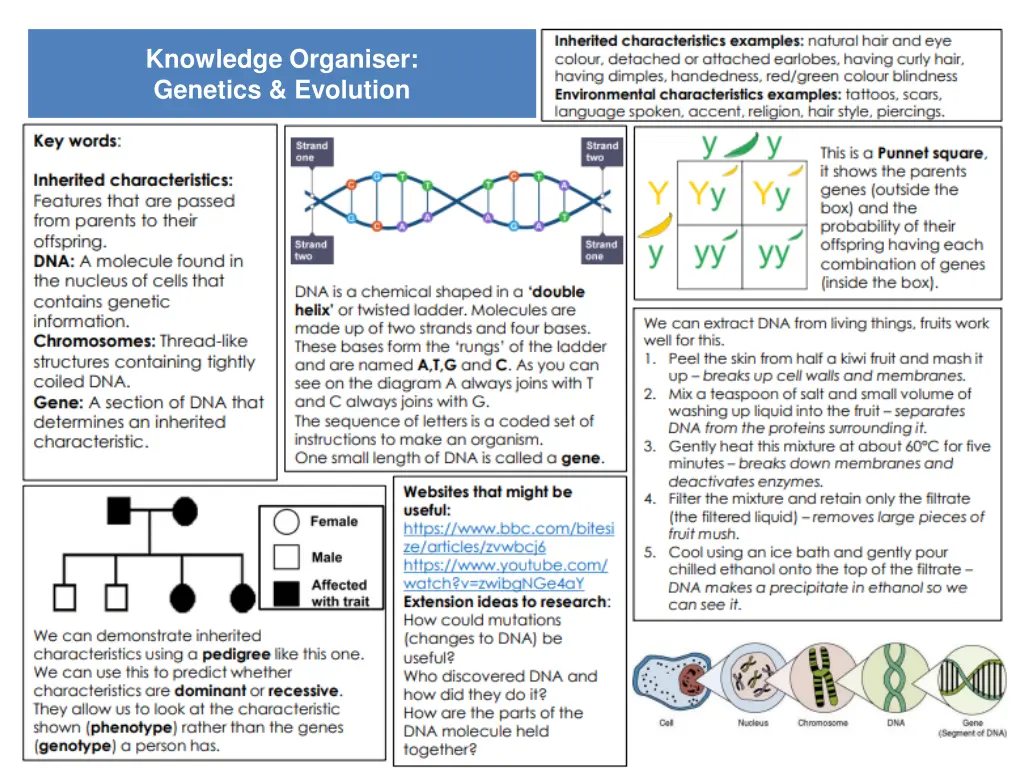 knowledge organiser genetics evolution