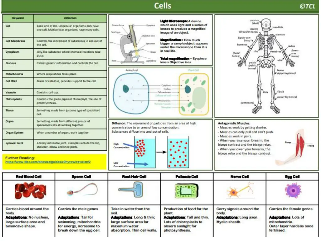 slide13