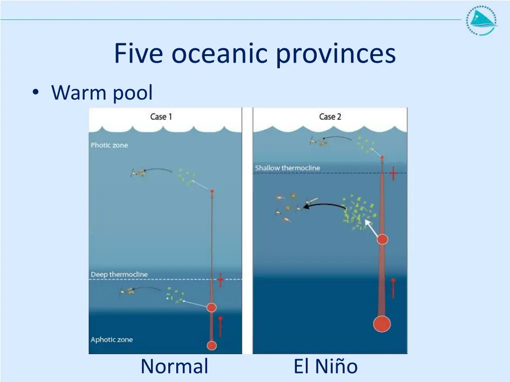 five oceanic provinces warm pool