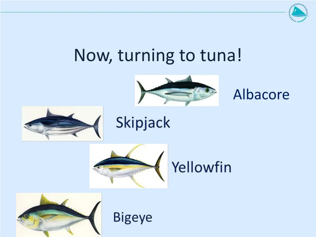 now turning to tuna