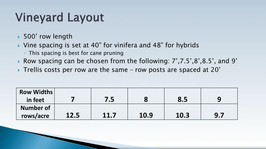500 row length vine spacing