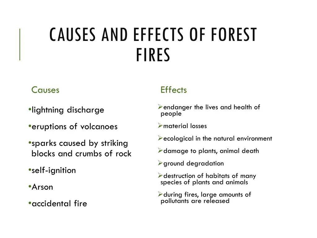 causes and effects of forest fires