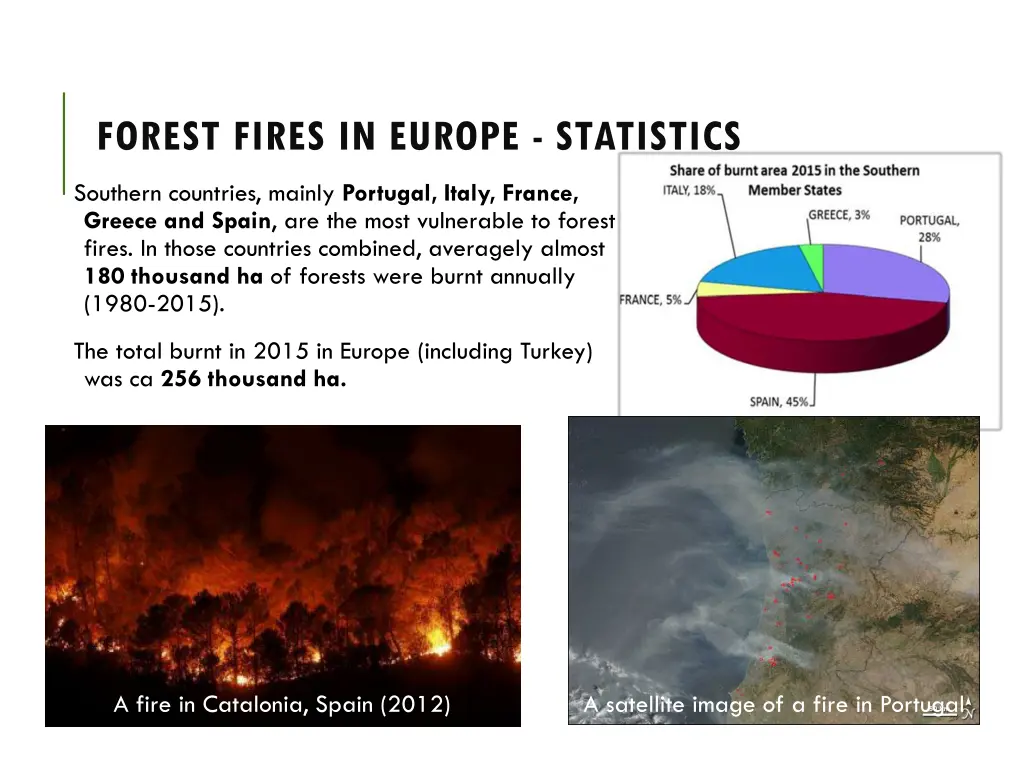 forest fires in europe statistics