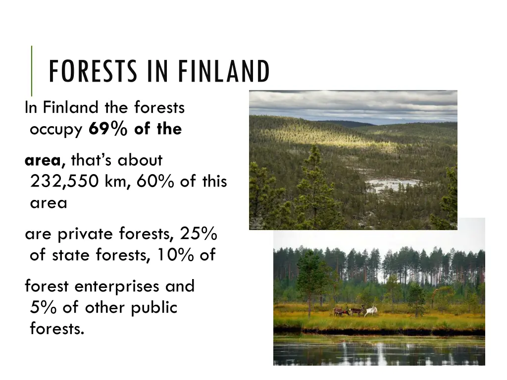 forests in finland in finland the forests occupy