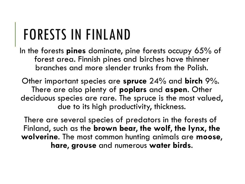 forests in finland in the forests pines dominate