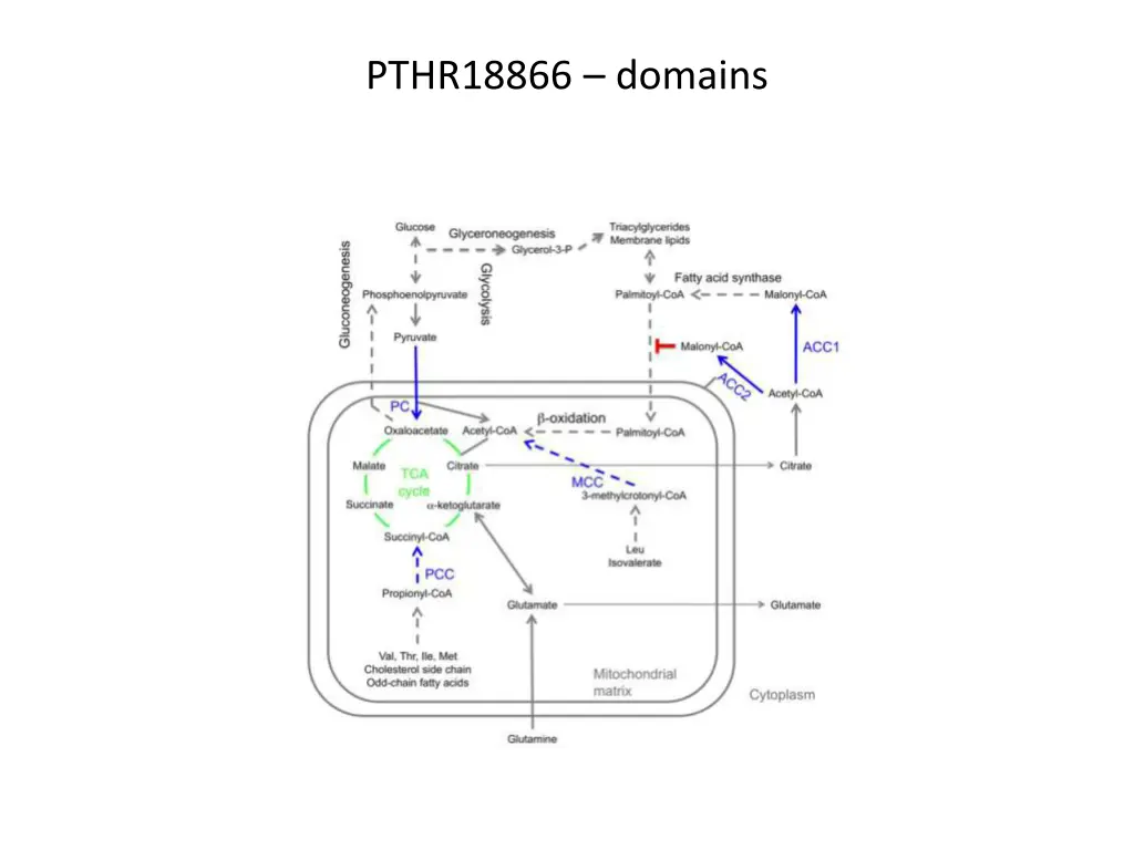 pthr18866 domains 1