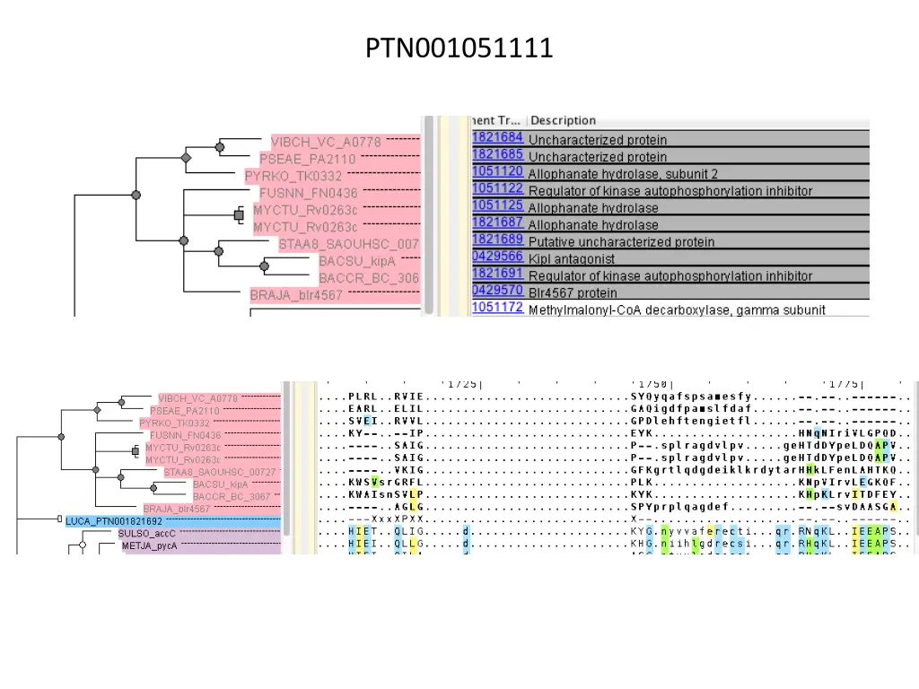 ptn001051111
