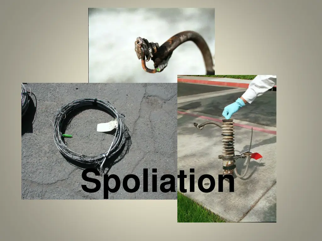 spoliation