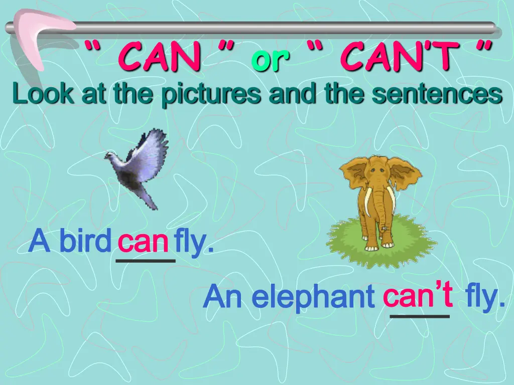 can or can t