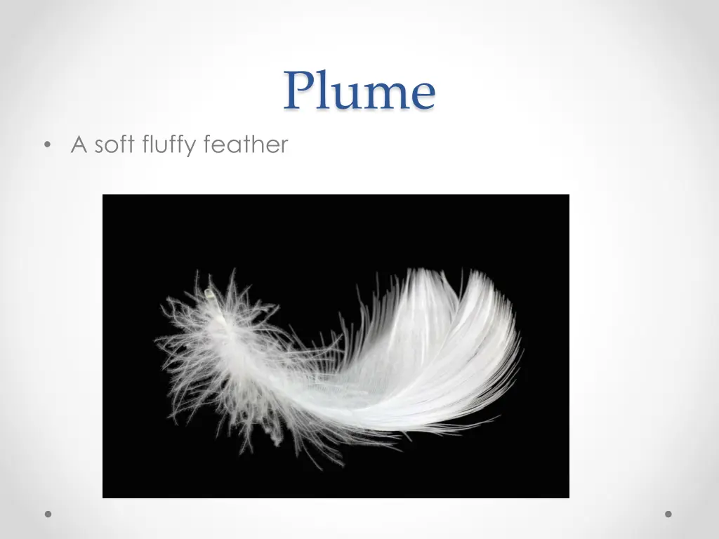 plume