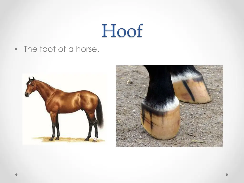 slide11